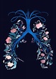 Lungs Wallpapers - Wallpaper Cave