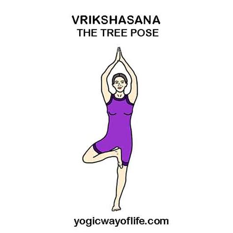 Vrikshasana The Tree Pose