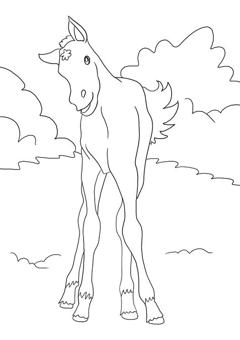 Ausmalbilder pferde images resume resume templates image search malvorlagen. Fohlen | Ausmalbilder Pferde - viele Malvorlagen mit Pferden