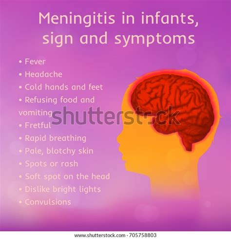 Meningitis Infants Signs Symptoms Vector Medical Image Vectorielle De