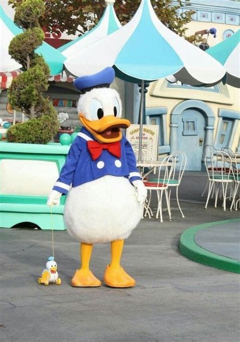 Donald Duck At Disneyland Disney Disney Theme Disney World Characters