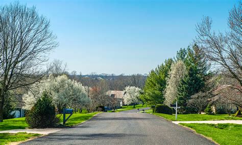 How To Prevent Recognize And Fix Winter Tree Damage Trees Unlimited