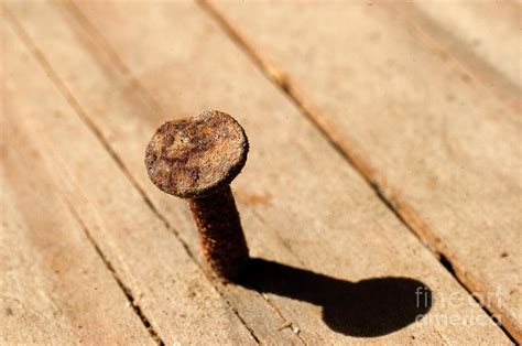 Rusty Nail In Old Wood Photograph By Ofer Zilberstein