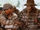One of the best movie ever. | Bernie mac, African american movies
