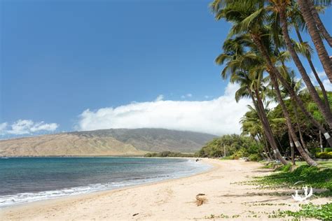 🏝 Sugar Beach Maui The Complete 2024 Guide ⋆ We Dream Of Travel Blog
