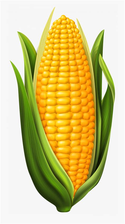 Animated Corn Clipart 10 Free Cliparts Download Images On Clipground 2024