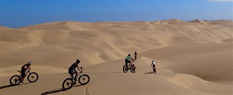 Fat Bike Desert Ride Tourrental Dubai Dubai Tour Packages