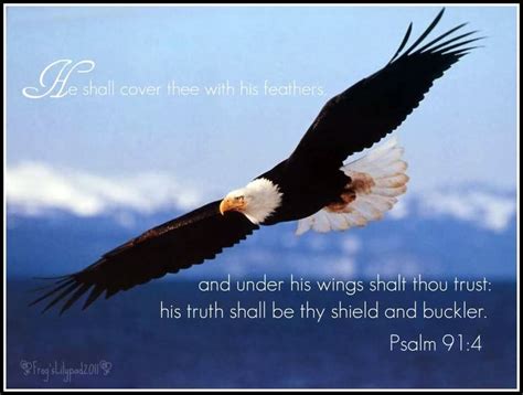 Psalm 914 Kjv ~ He Shall Cover Thee With His Feathers And Under His