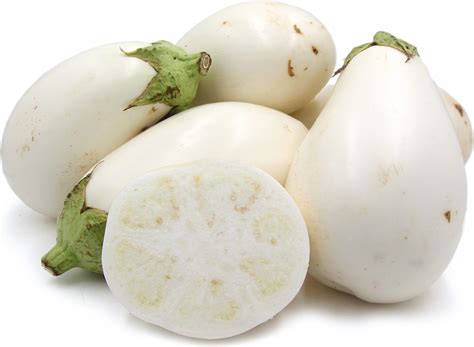 White Eggplant Information Recipes And Facts