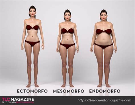 Top Mejores Tipos De Cuerpo Endomorfo Ectomorfo Mesomorfo Mujer En My