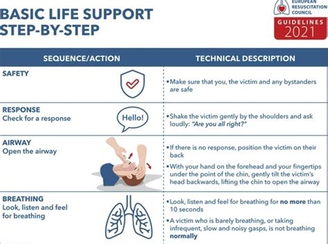 European Resuscitation Council Linee Guida 2021 Bls Basic Life Support