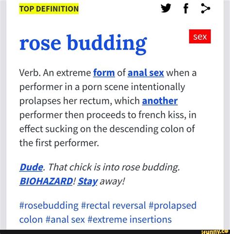 TOP DEFINITION F SEX Rose Budding Verb An Extreme Form Of Anal Sex When A Performer In A Porn
