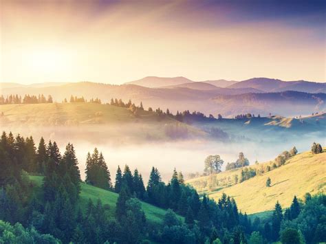 Misty Morning Nature Hd Wallpaper Preview
