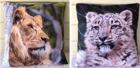 Helene Lia Photography Flip Photo Pillows Lionsnow Leopard