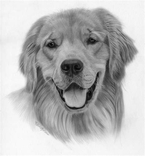 A Realistic Pencil Drawing Is A Drawing That Looks Real Realistic