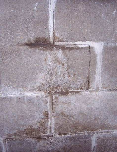 Pin on Basement Waterproofing - DIY Solutions | Concrete | Brick | Masonry