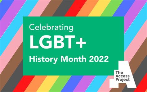 Our Lgbtq Heroes For Lgbt History Month The Access Project