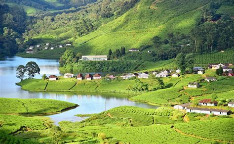 Places To Visit In Munnar Kerala Attractions Munnar Is Famous For