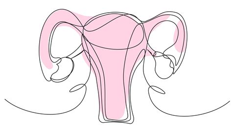 What Is Implantation Bleeding Everything You Need To Know Conceive