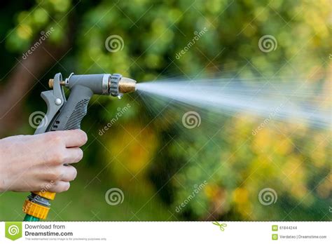 Hand Holding Garden Hose With Water Spray Stock Photo Image Of