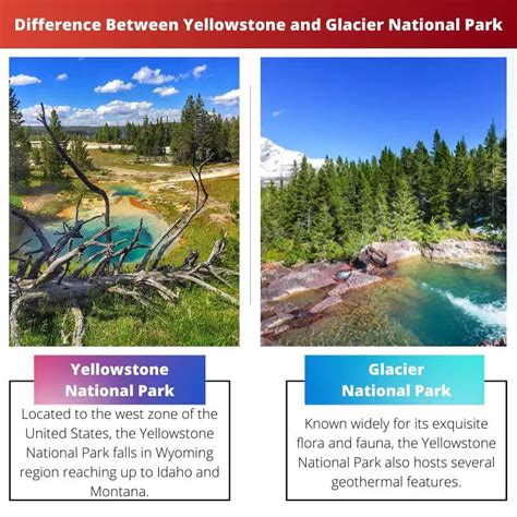 yellowstone vs glacier national park difference and comparison