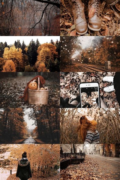 Brown Aesthetic Wallpaper In Autumn Aesthetic Autumn