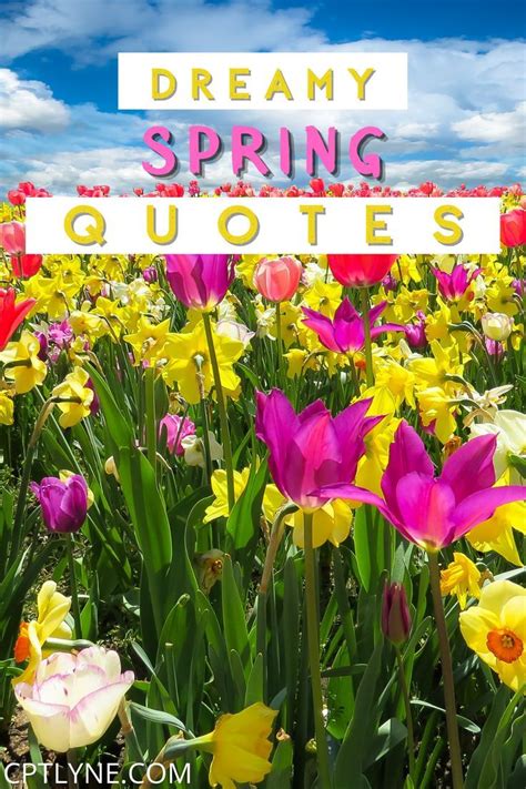 50 Perfect Spring Captions And Quotes For Instagram Instagram Captions