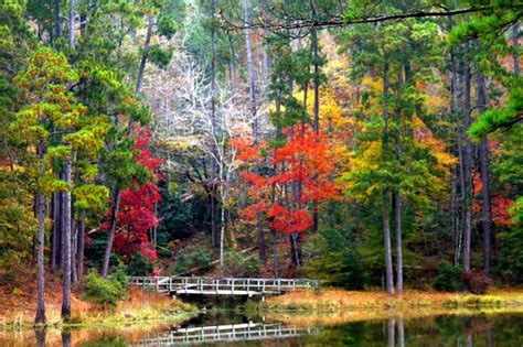 10 Unimaginably Beautiful Places In Mississippi That You Must See