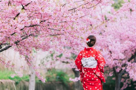 Memoirs Of A Geisha Why Kyoto Is Still The Cultural Capital Of Japan