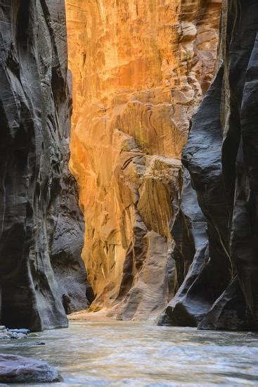 Virgin River Narrows Zion National Park Utah United States Of