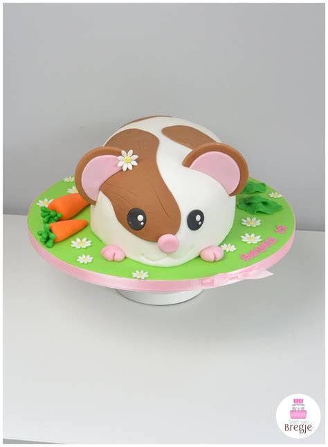 Hamster Cake Van Bregje Animal Cakes Cupcake Cakes Cat Cake