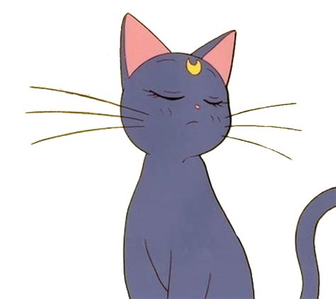 Download Hd Anime Cat Sailormoon Aesthetic Tumblr Sticker