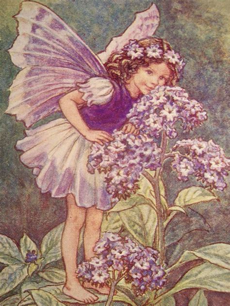 1930s Vintage Flower Fairies Print C M Barker The Heliotrope Fairy