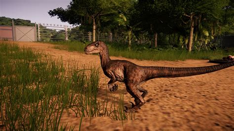 Velociraptor Skin And Dental Fixes At Jurassic World