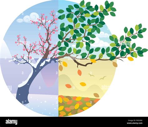 Four Seasons Cartoon Illustration Hi Res Stock Photography And Images