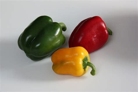 Bell pepper - Wikipedia