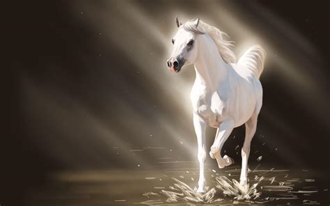 White Horse Running In The Water Hd Desktop Wallpaper Widescreen