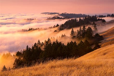 Fog Landscape Wallpaperhd Nature Wallpapers4k Wallpapersimages