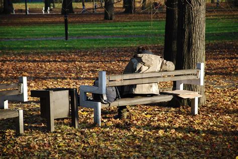 hjemløs på en bænk i byens park Stock foto Colourbox