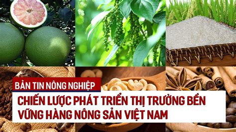 chiẾn lƯỢc phÁt triỂn thỊ trƯỜng bỀn vỮng hÀng nÔng sẢn viỆt nam bẢn tin nÔng nghiỆp youtube