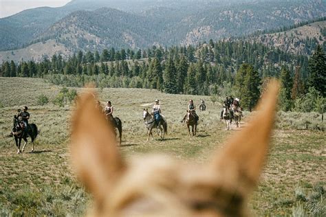 Horseback Riding In Crested Butte Camping And Backcountry Huts In Colorado