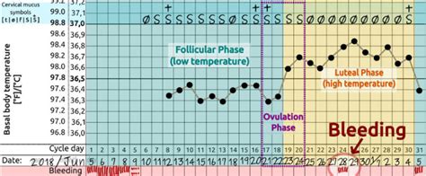 Reliably Recognize Implantation Bleeding