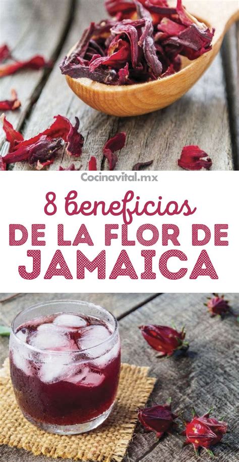 Flor De Jamaica Beneficios Para Qu Sirve Y C Mo Tomarla