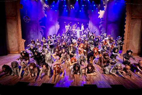 Lying and claiming/posting someone else's cat is/as your own will result in an immediate ban, with no warnings given. CATS The Musical costumes for hire | Stage School Australia