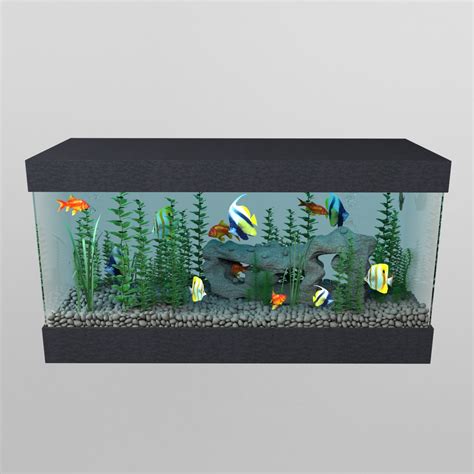 Aquarium 3d Models In Other 3dexport