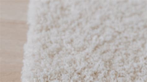 How To Remove Old Dog Poop Stains From Carpet Carpet