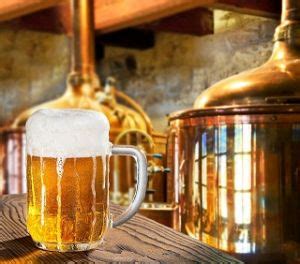 We did not find results for: Brewery Insurance in Winter Park, Florida - Benson Insurance