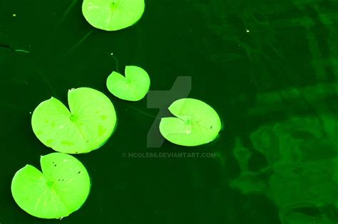 Green Lily Pads By Hcole86 On Deviantart