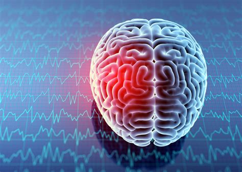 Functional Brain Mapping And Multimodal Neuroimaging Center For