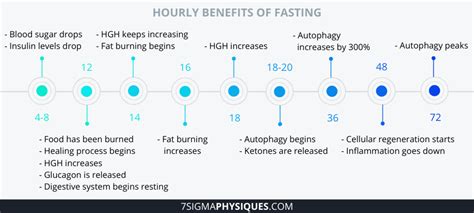 Stages Of Fasting What Happens When You Fast 7sigma Physiques